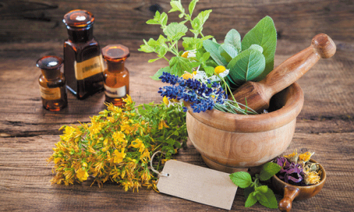 herbs-supplements-vitamins